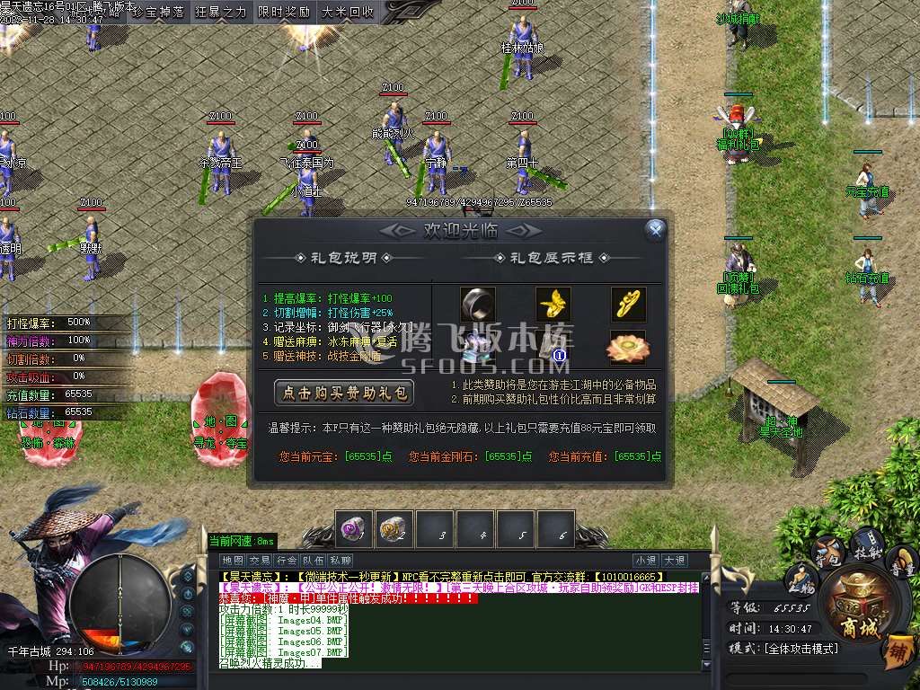 昊天遗忘专属单职业
