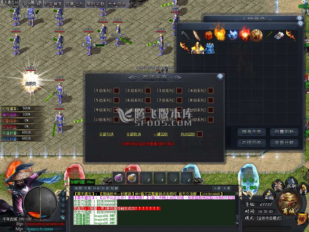 昊天遗忘专属单职业