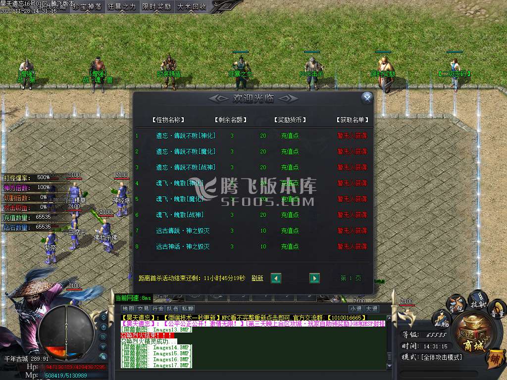 昊天遗忘专属单职业