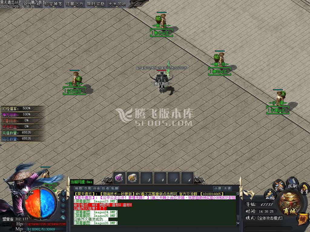昊天遗忘专属单职业