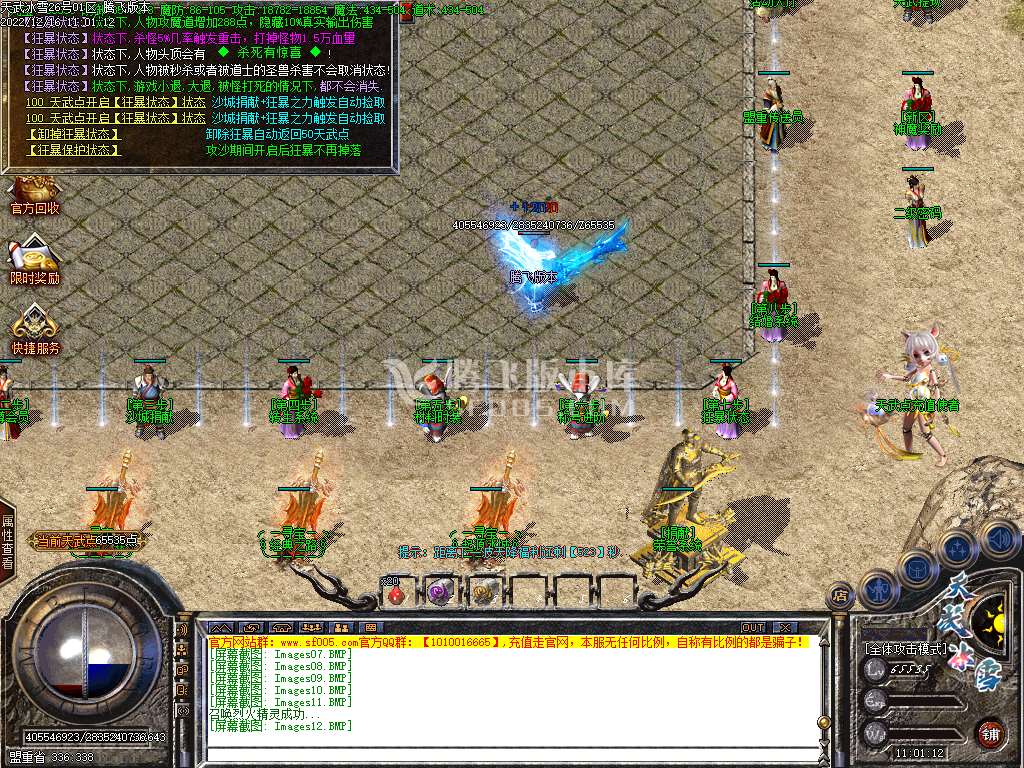 天武冰雪品牌三职业