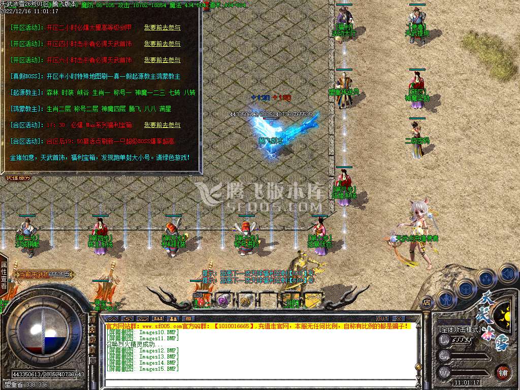 天武冰雪品牌三职业