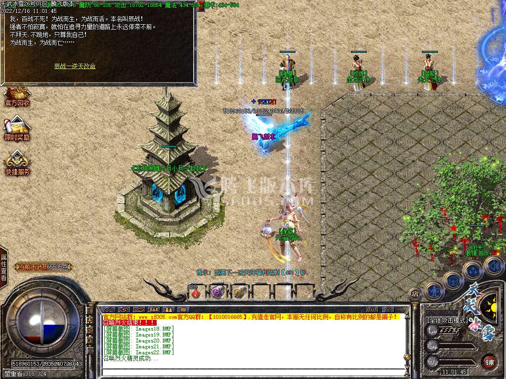 天武冰雪品牌三职业