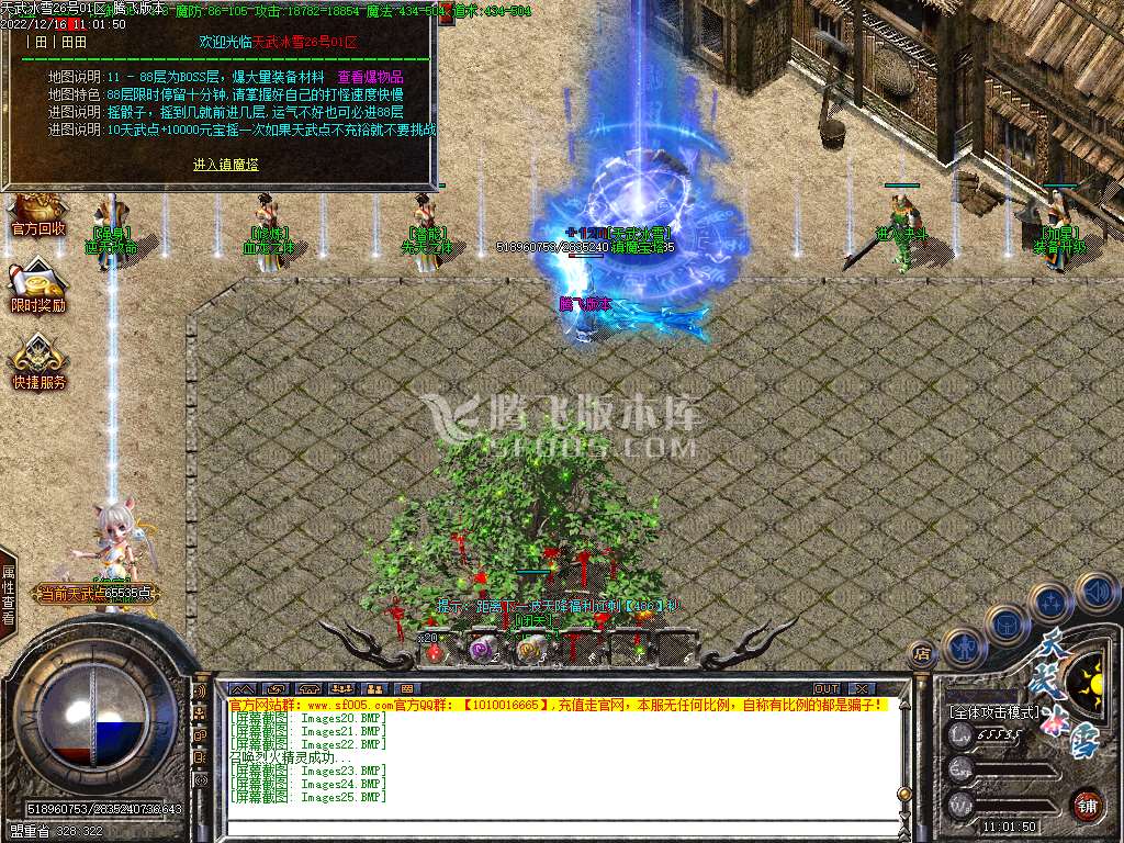 天武冰雪品牌三职业