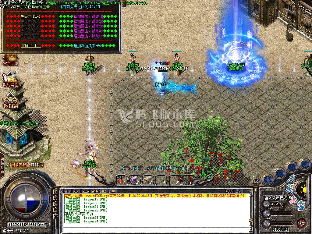 天武冰雪品牌三职业