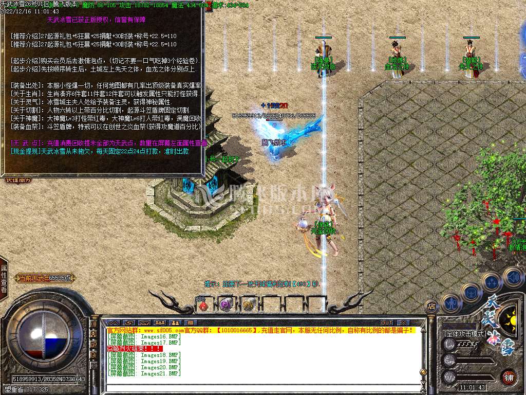 天武冰雪品牌三职业