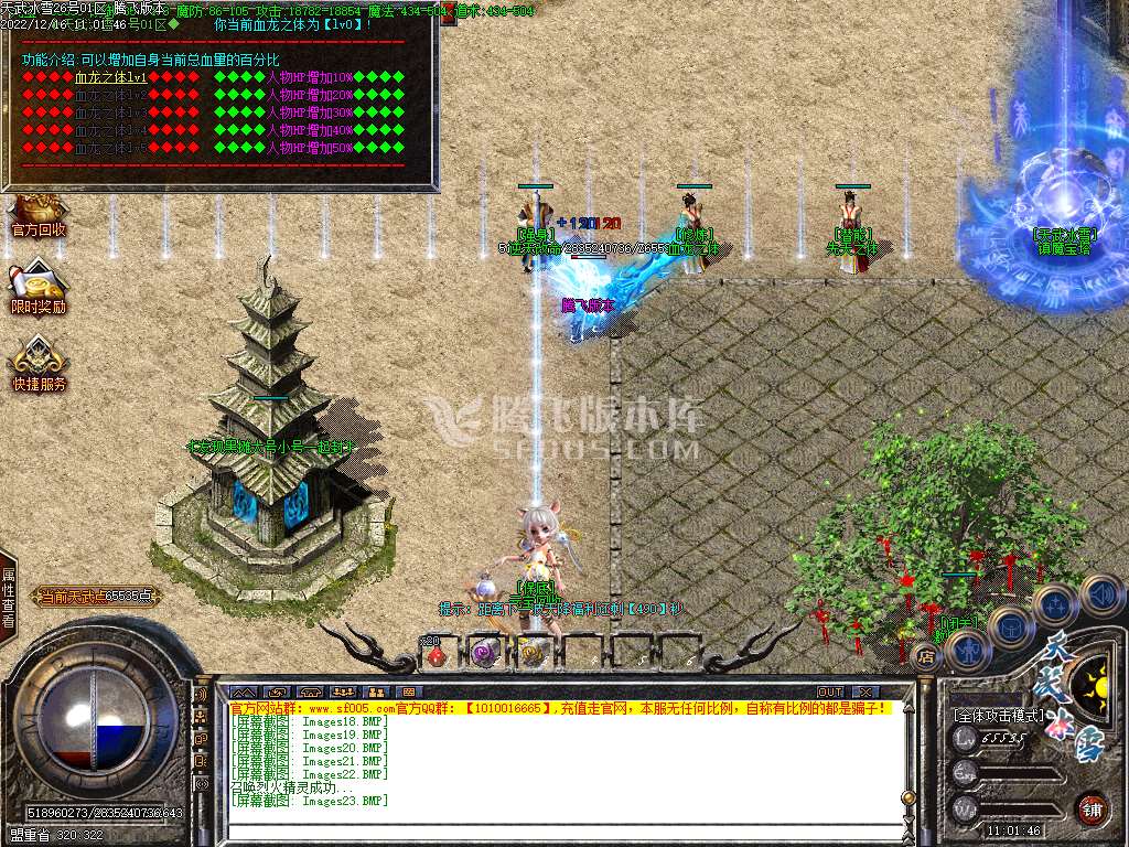 天武冰雪品牌三职业