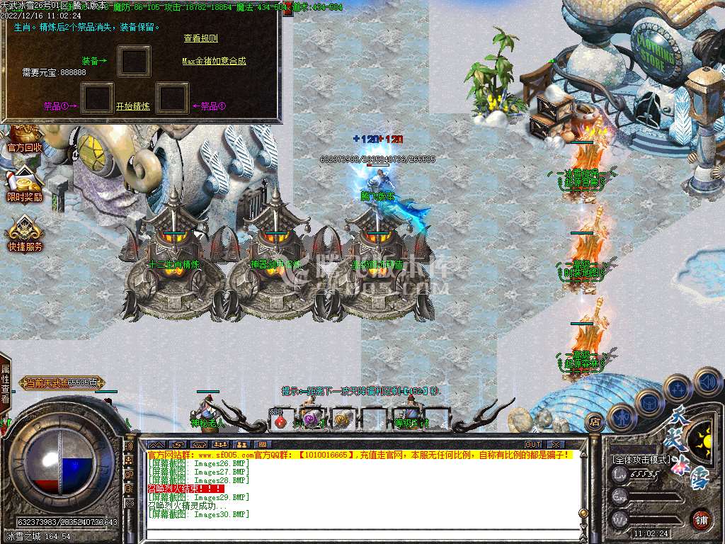 天武冰雪品牌三职业