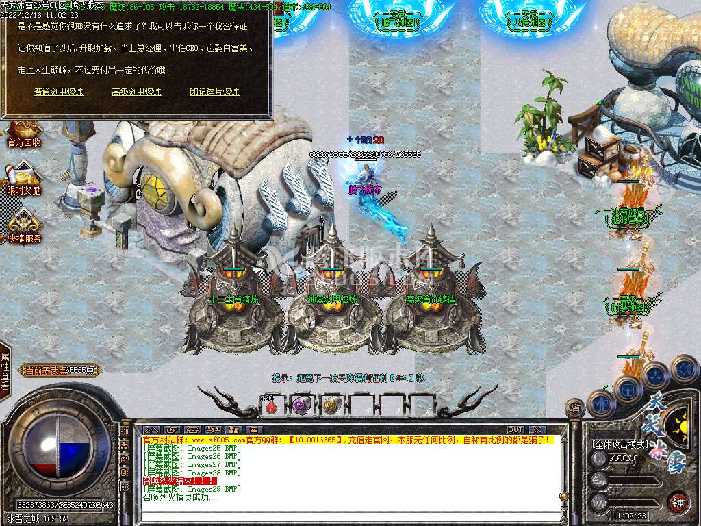 天武冰雪品牌三职业
