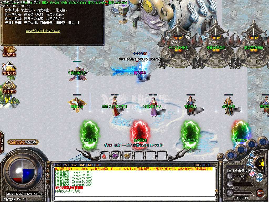 天武冰雪品牌三职业