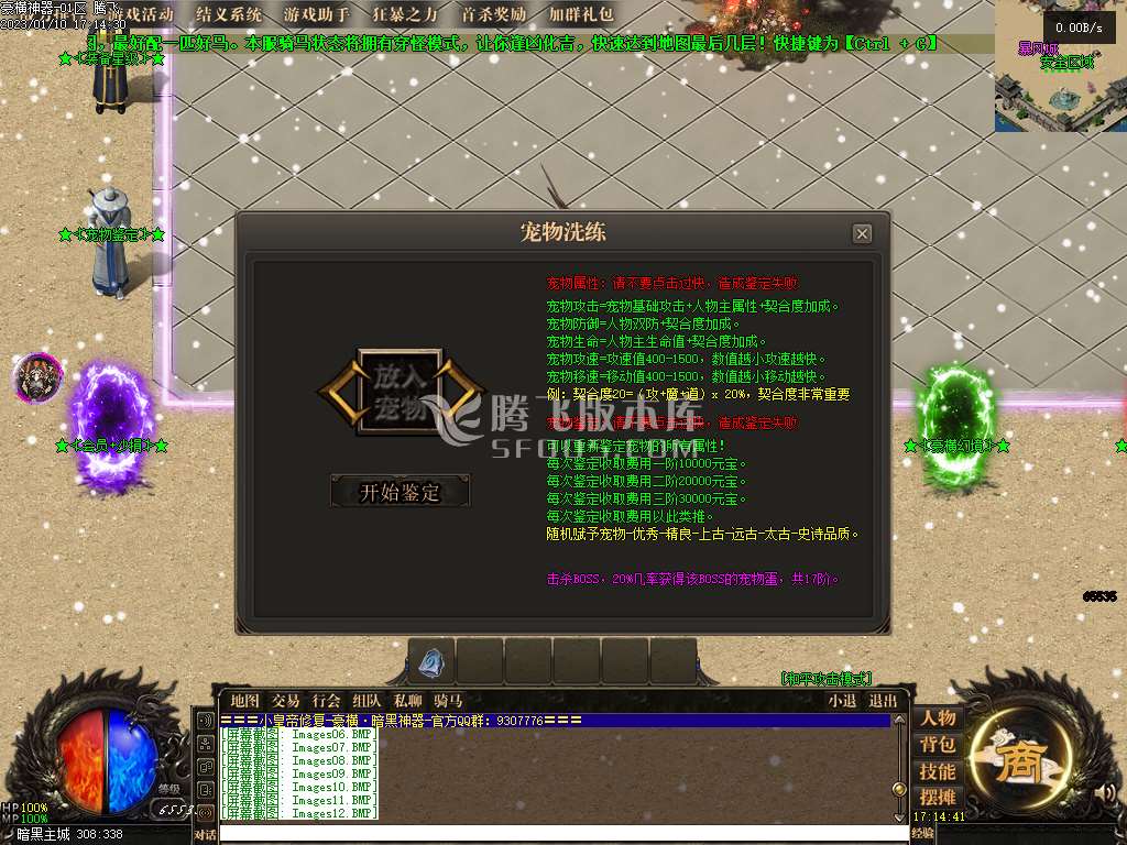 豪横神器暗黑宠物单职业