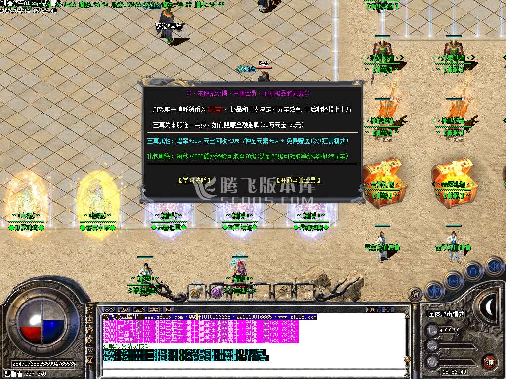 1.76龙腾破军小极品三职业