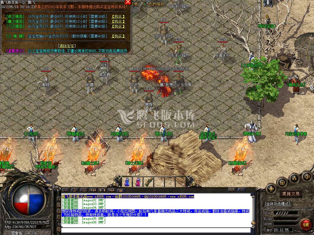轻语沉默公益三职业-wxf插件