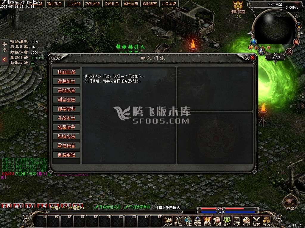 十职业传说三国魂宠版多职业