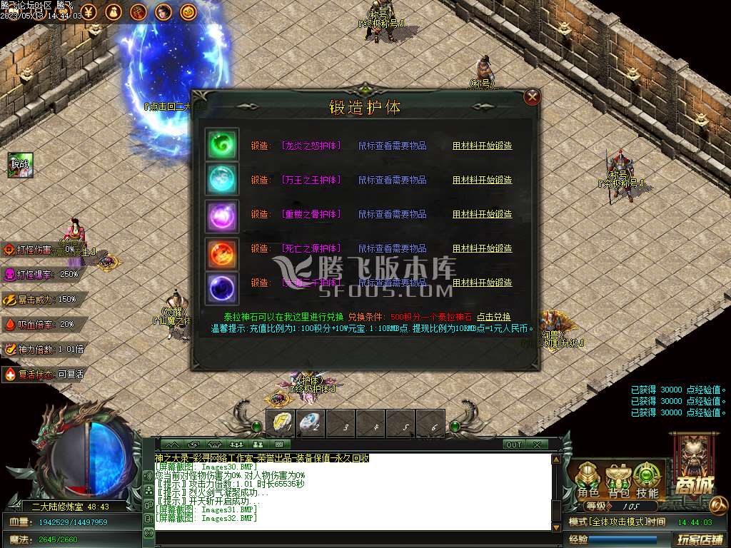 荣耀大箓II专属神器单职业-esp插件