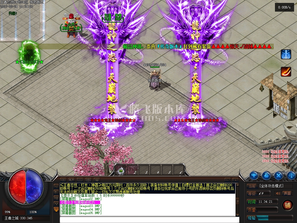 王者忘忧神器单职业