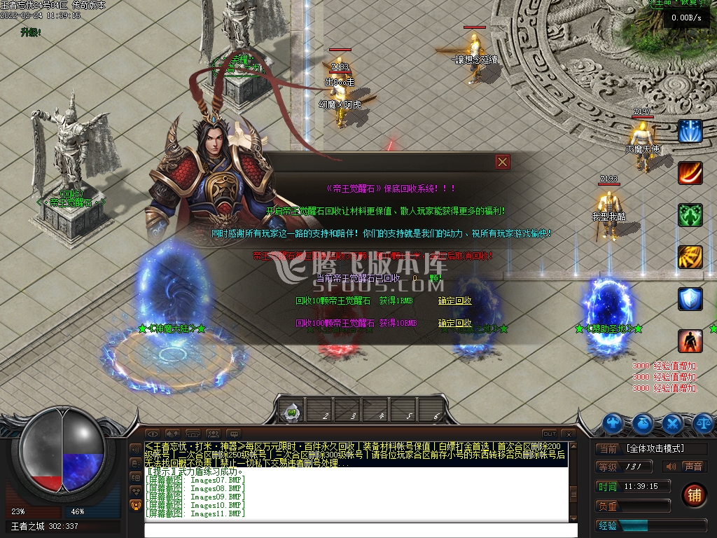 王者忘忧神器单职业