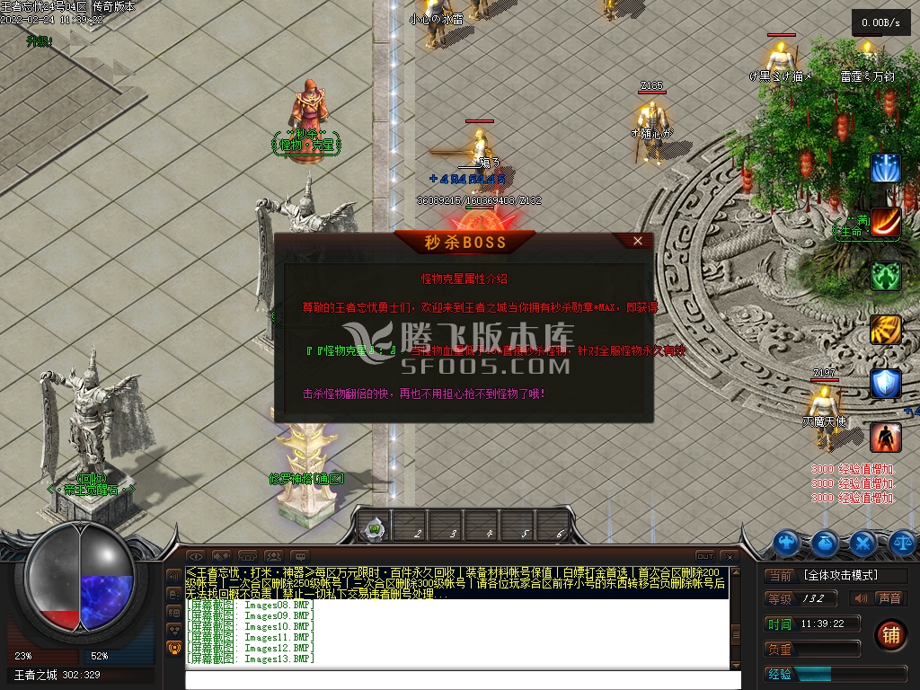王者忘忧神器单职业