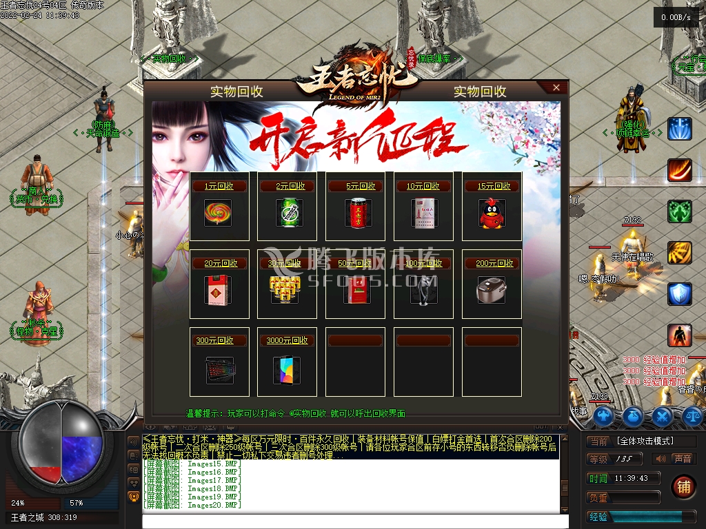 王者忘忧神器单职业