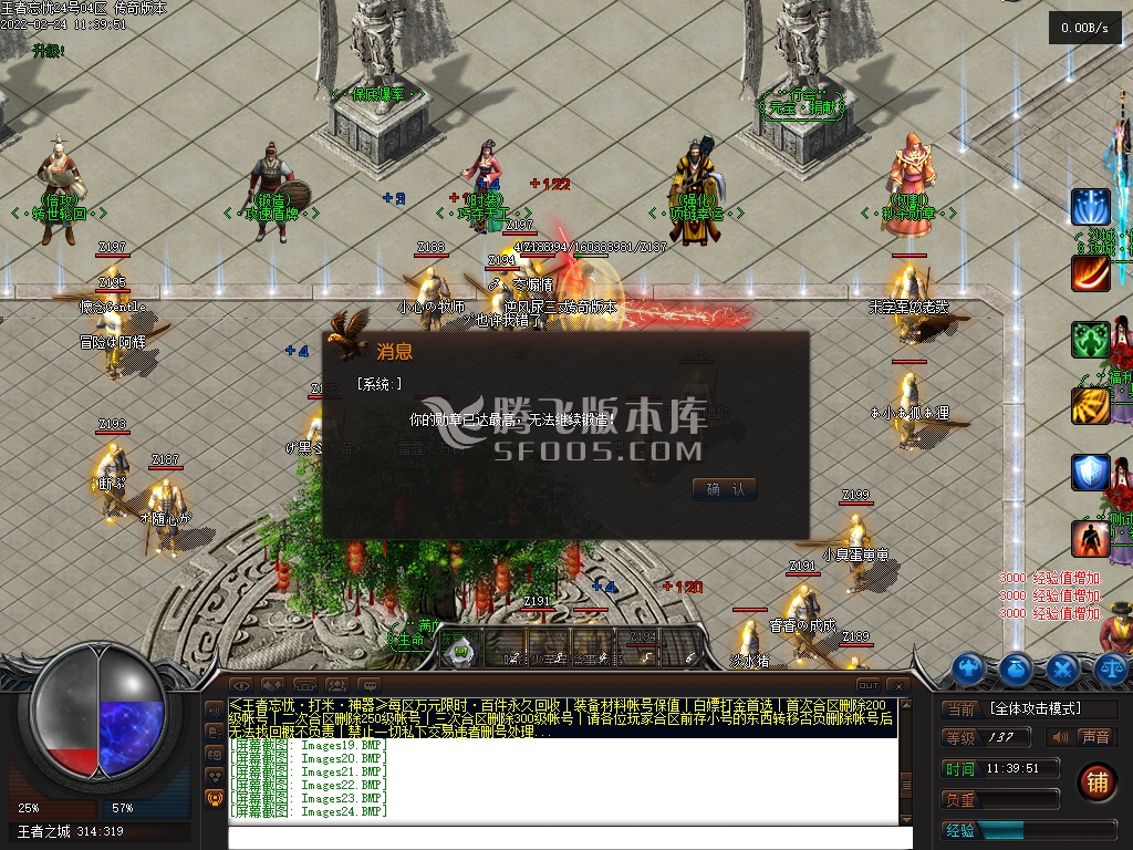 王者忘忧神器单职业