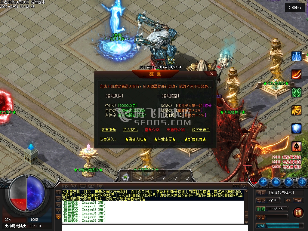王者忘忧神器单职业