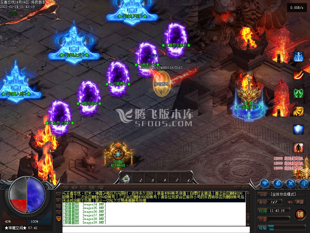 王者忘忧神器单职业