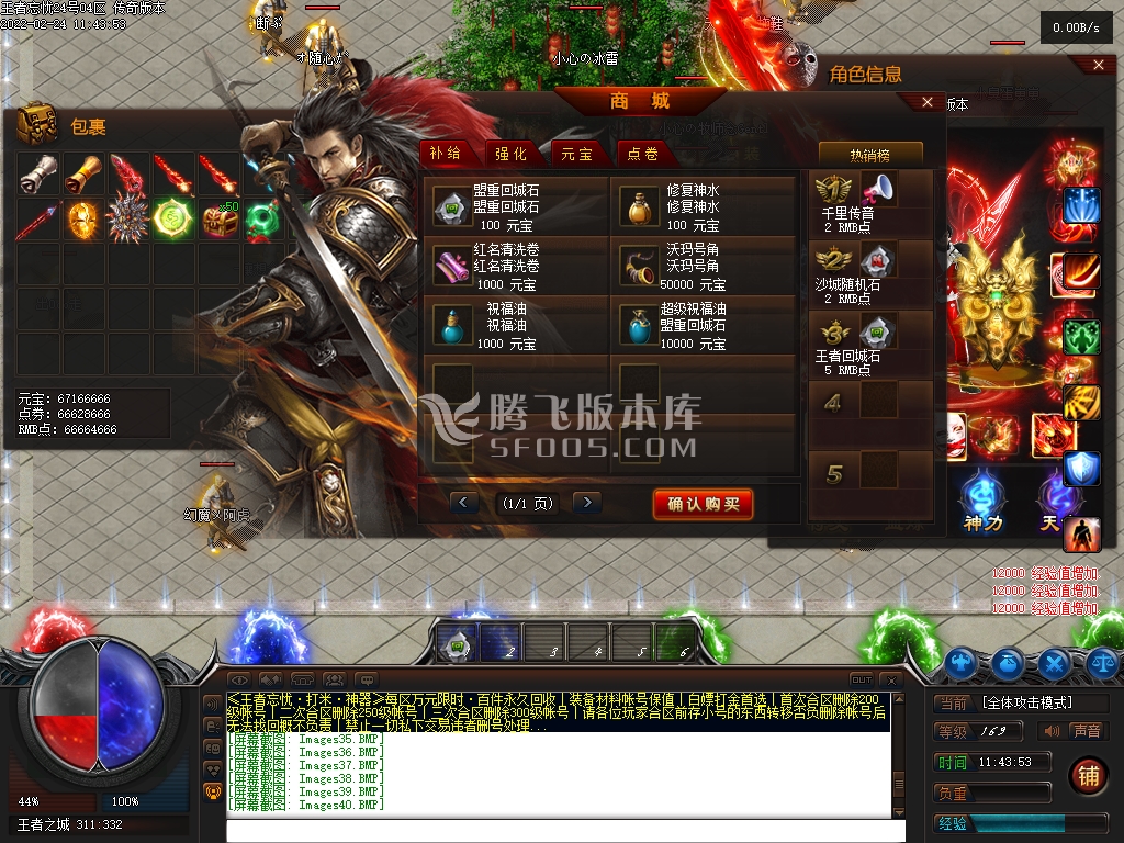 王者忘忧神器单职业