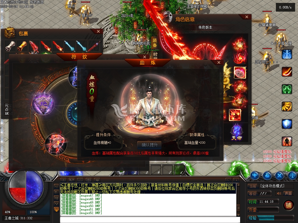 王者忘忧神器单职业